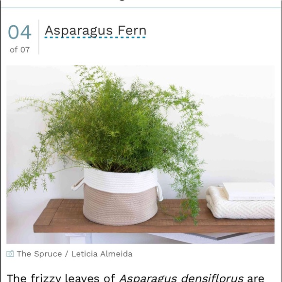 Meet your Posher, Nicole - Picture 1 of 1